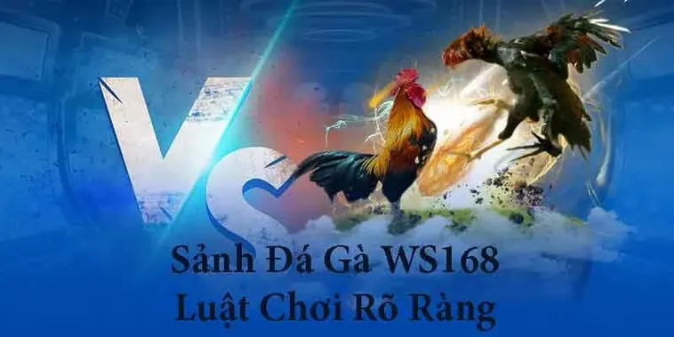 Cách Chơi Đá Gà WS168 Tại 92Lottery: Hướng Dẫn Chi Tiết Cho Kê Thủ Chuyên Nghiệp