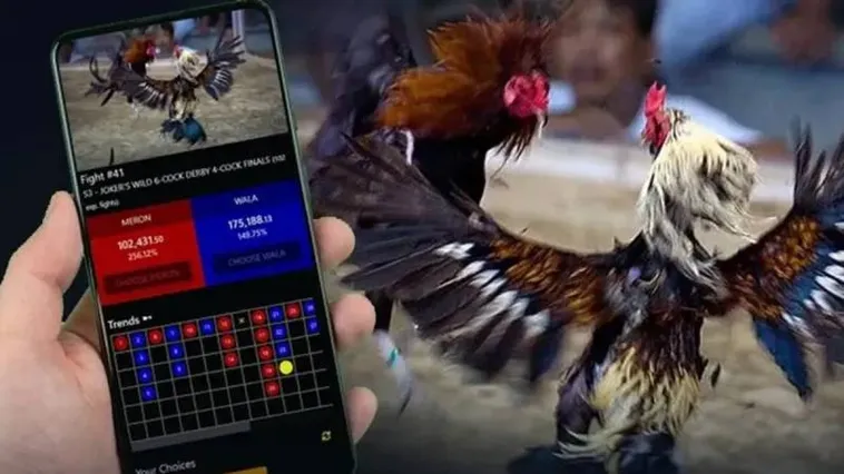 Đá Gà 92Lottery: Bí Quyết Thắng Lớn Trong Từng Trận Đấu Hấp Dẫn